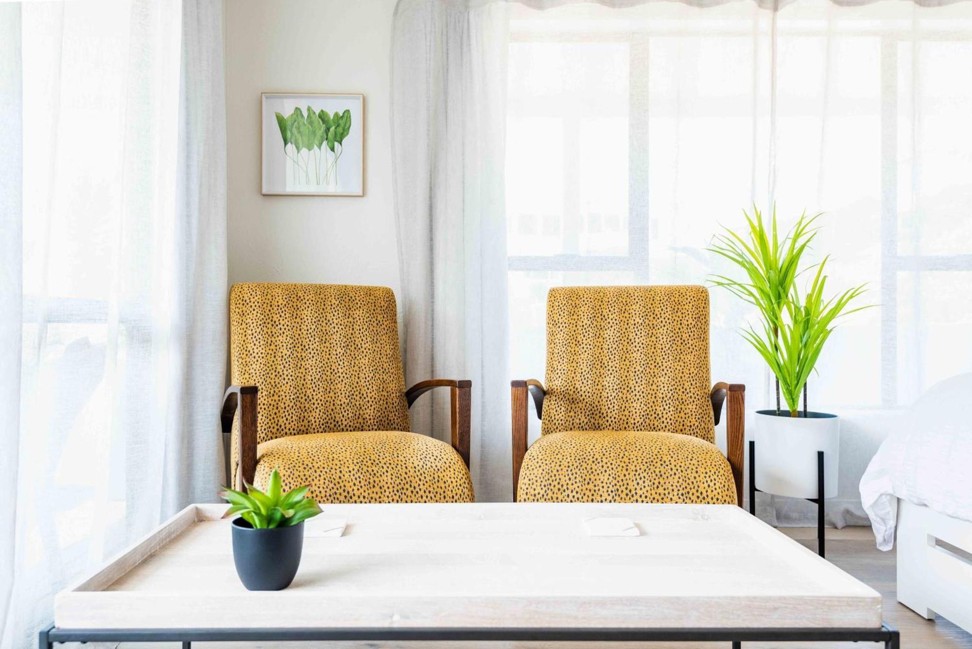 Spacious, Breezy Apartment, Moments From Downtown And Apartment
